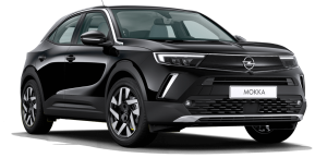 mokka
